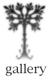 Vo[ANZT[̏ЉFO/y_g/y_ggbv/uX/sobWiu[`@ysj/sAX/gуXgbv